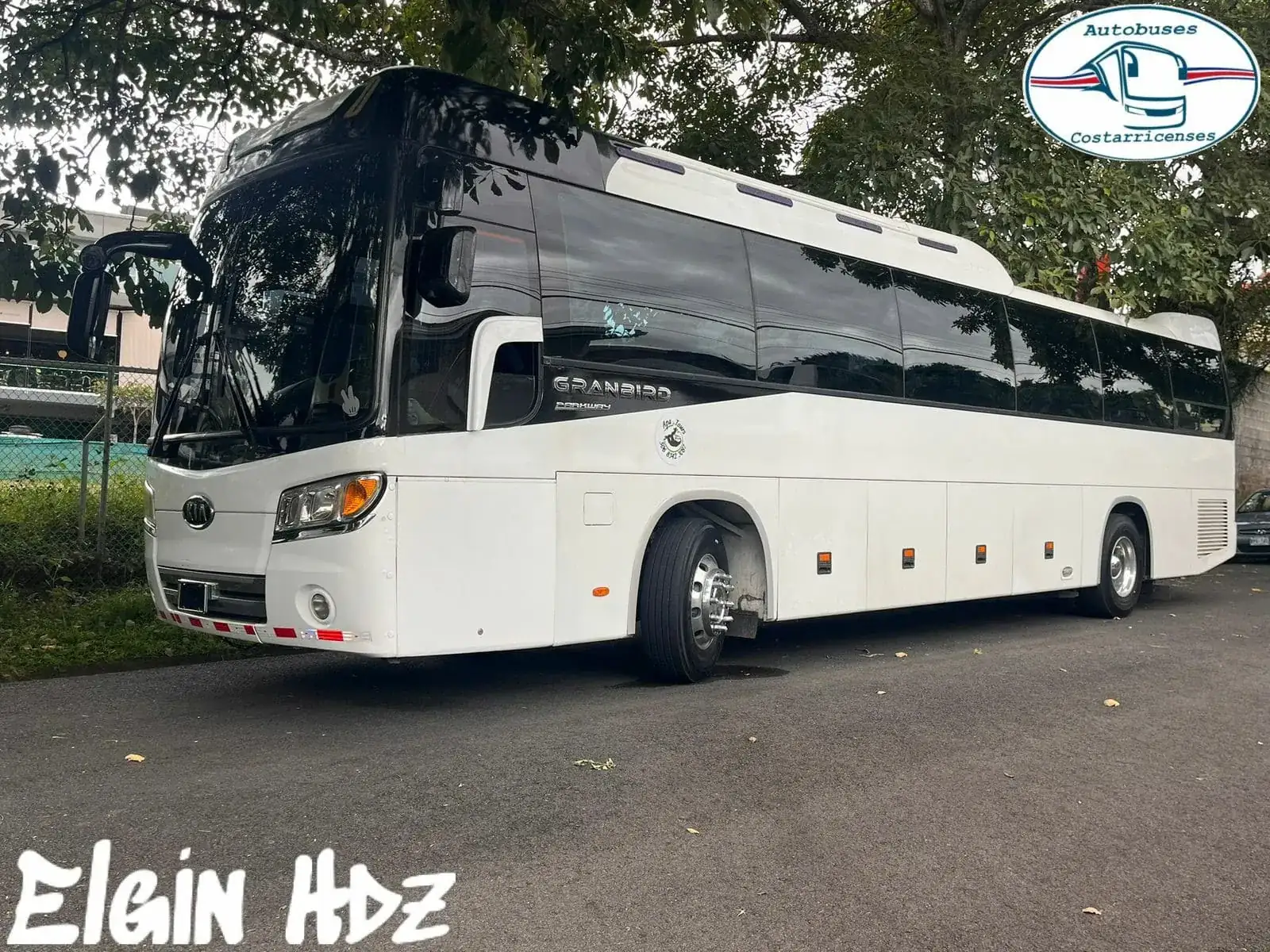 Conductor profesional de transporte turístico privado en Costa Rica